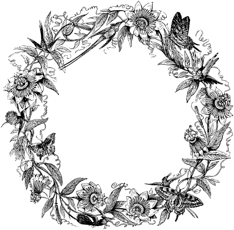 wreath-frame-line-art-border-4602807