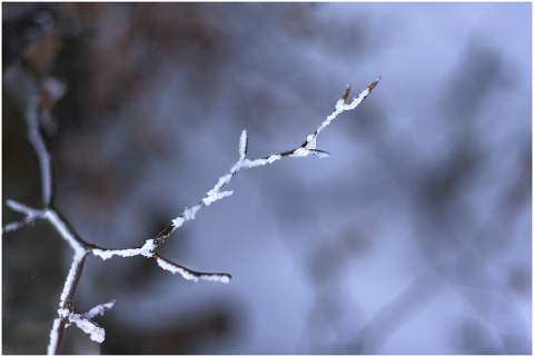 winter-snow-nature-landscape-4728039