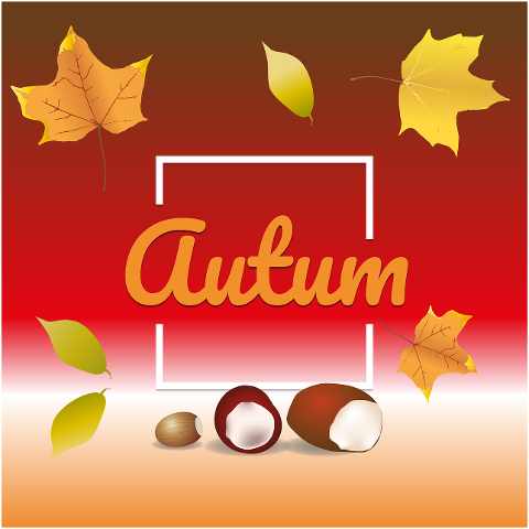season-autumn-leaves-colorful-4432255