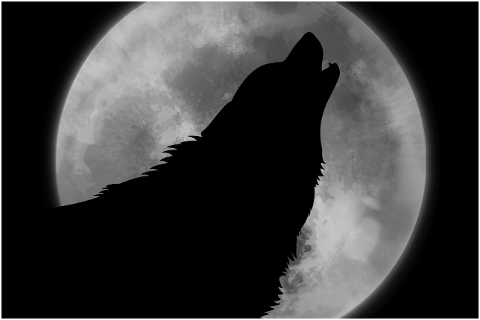wolf-moon-animal-silhouette-4546146