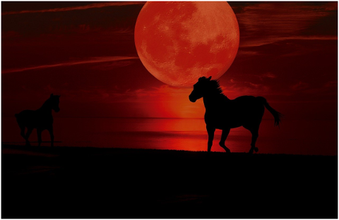 blood-moon-abendstimmung-moon-4862723