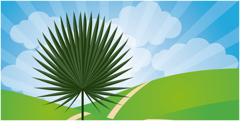 palm-sunday-palm-tree-psalm-sunday-5009429