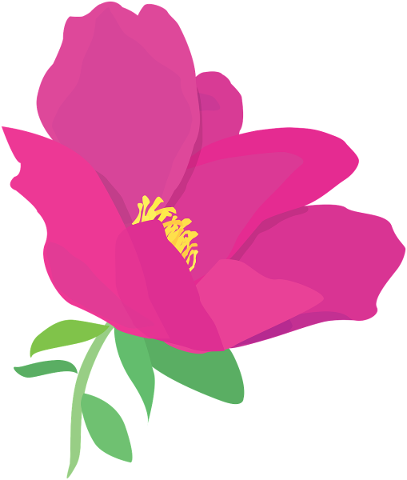 flowers-flower-pink-summer-plants-4617855