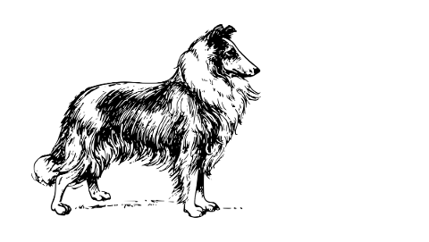 dog-pet-animal-canine-line-drawing-5666011