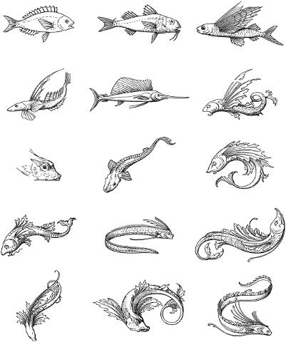 fish-vintage-line-art-animals-4588562