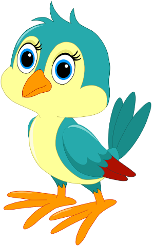 bird-cute-feather-robin-small-5112854