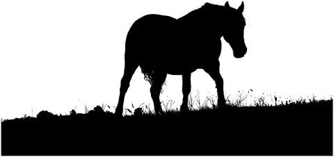 animal-horse-silhouette-nature-4726453