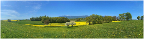 prairie-landscape-pommies-apfelbaum-5065663