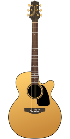 guitar-music-instrument-show-4770600