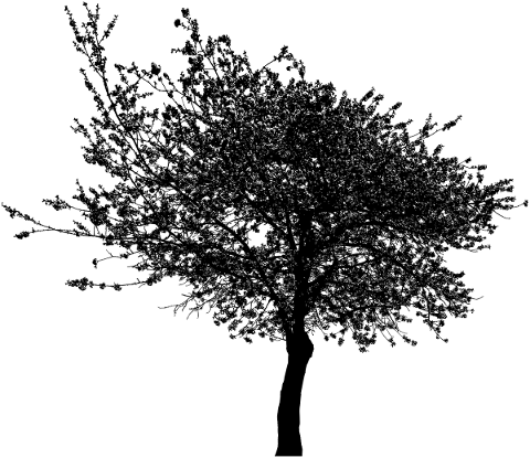 trees-landscape-silhouette-5118268