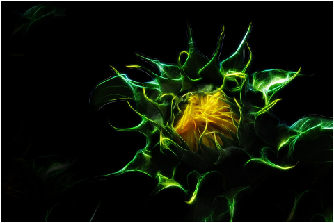 sunflower-blossom-bloom-fractalius-4542544