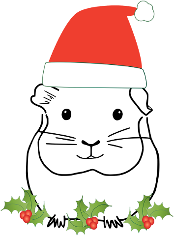 guinea-pig-rodent-hat-christmas-5726412