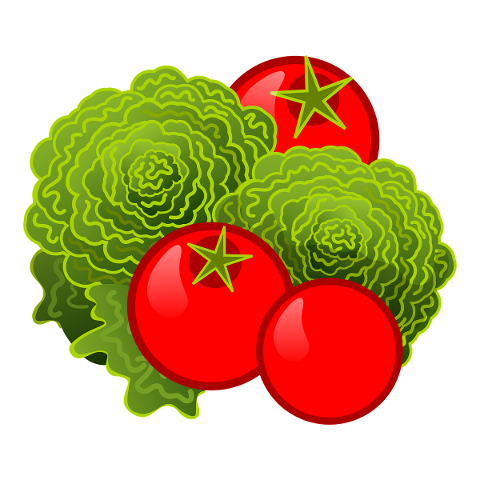 illustration-vegetables-lettuce-4998909