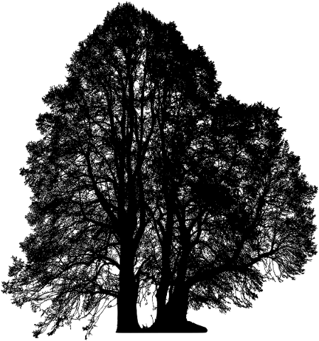tree-landscape-silhouette-plant-5180133