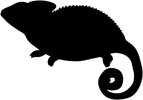 chameleon-animal-silhouette-lizard-5371466