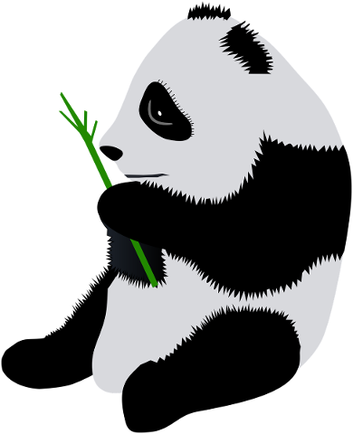panda-panda-bear-giant-panda-animal-5538967