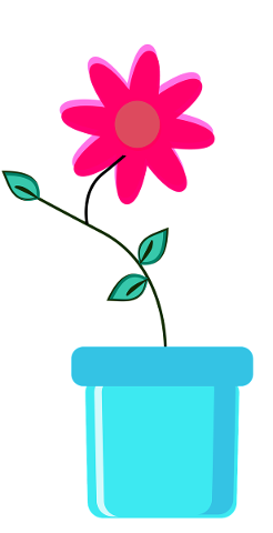 flower-pink-potted-blue-pot-5160957