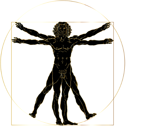 vitruvian-man-leonardo-da-vinci-4995947