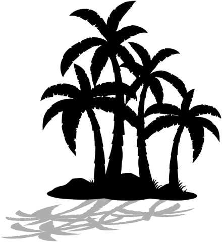 palm-tree-silhouette-shadow-island-5067142