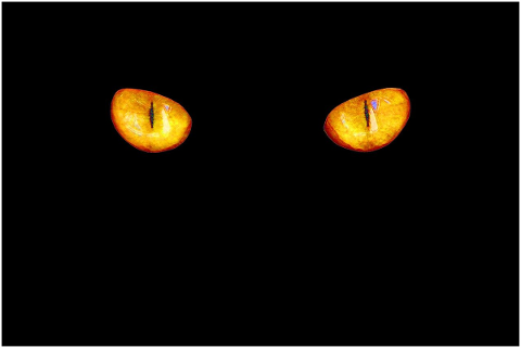 cat-s-eyes-eyes-color-storm-light-4789730