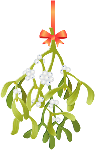 mistletoe-christmas-decoration-5746217