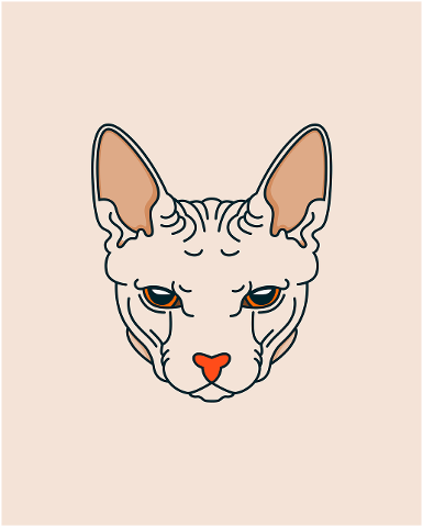 paint-sphynx-sphynx-cat-kitty-4588860