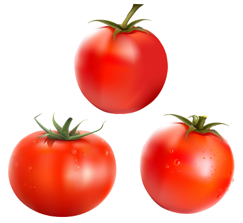 tomatoes-food-vegetables-harvest-4315442