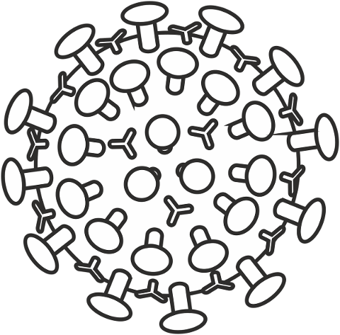 corona-virus-sars-cov-2-covid-19-4944191