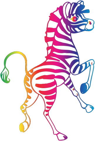 zebra-stripes-rainbow-colors-5452381