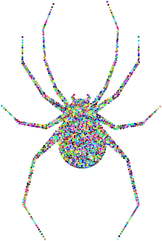 spider-arachnid-animal-insect-5652877