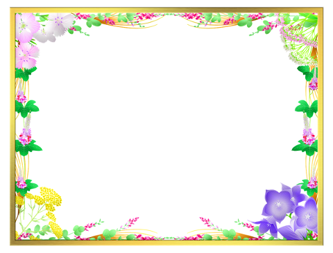 floral-frame-frame-border-floral-4892586