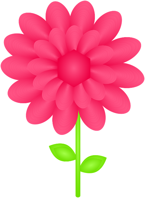 pink-flower-to-flourish-flora-7272917