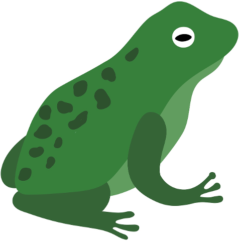 frog-toad-amphibian-pond-nature-4336521