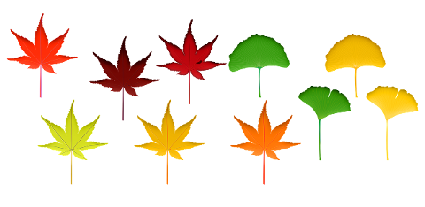 fall-leaves-autumn-leaf-nature-4393892