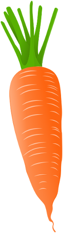 carrot-vegetable-food-healthy-5733620