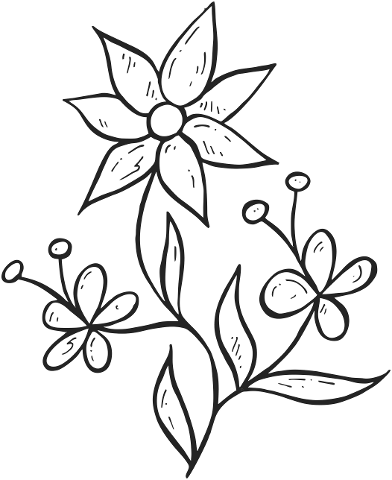 flower-black-cartoon-nature-white-4586763