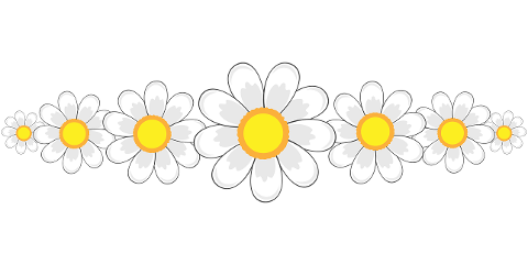 flower-framework-flowers-spring-4437136