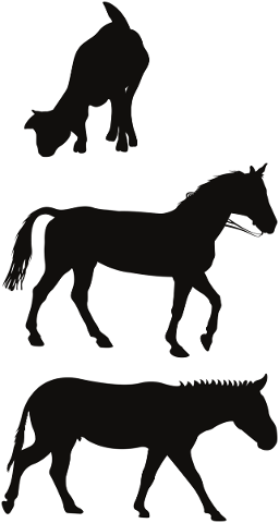 animal-silhouettes-horse-donkey-4880926
