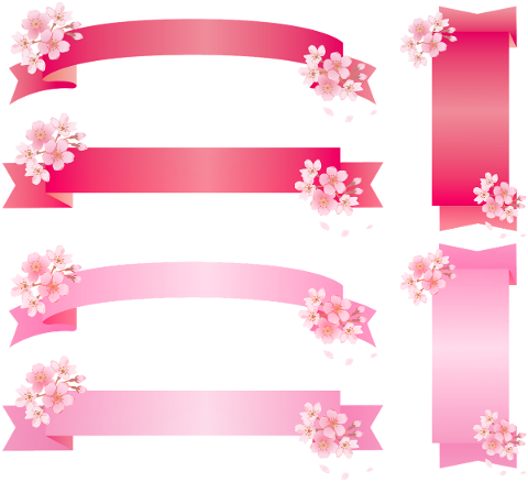 ribbon-sakura-cherry-blossom-4918298