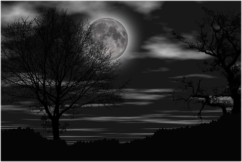 night-darkness-the-silence-4514639