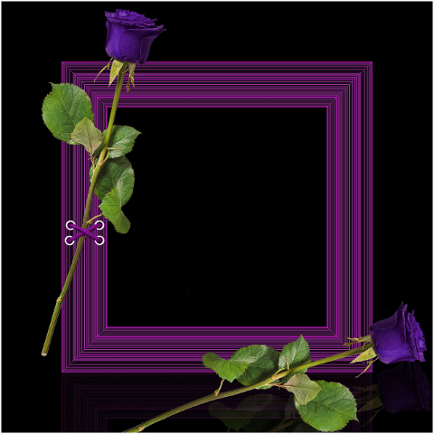 framework-photo-frame-decoration-4511957