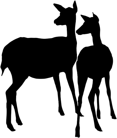 silhouette-deer-animals-doe-buck-5609089