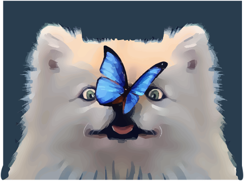 dog-butterfly-cute-nose-playful-4716047
