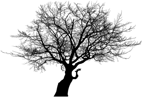 tree-landscape-silhouette-plant-5331266