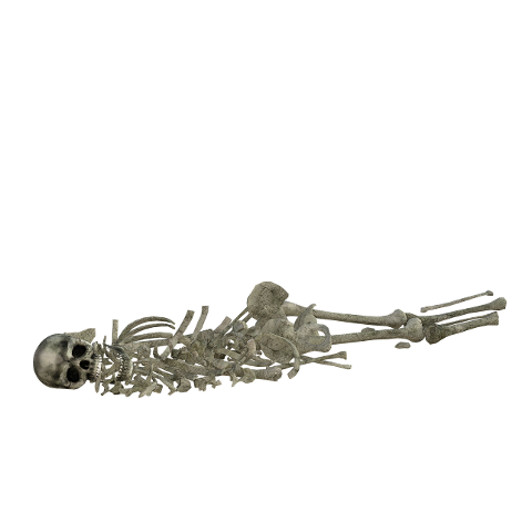 skeleton-bones-halloween-skull-4567486