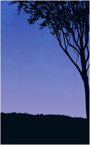 sunset-tree-landscape-sky-4844641
