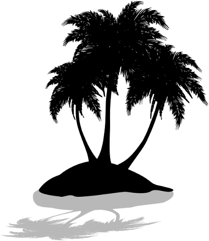 palm-tree-silhouette-shadow-island-5067149