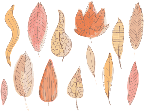 leaves-autumn-watercolor-fall-5598708