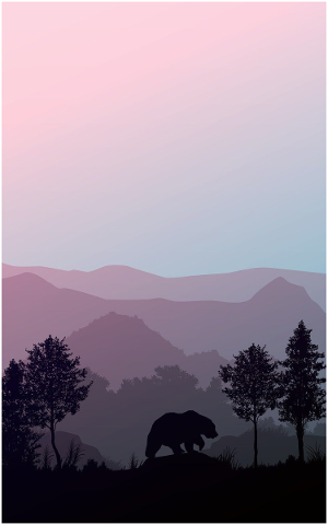 sunset-tree-landscape-sky-4832499
