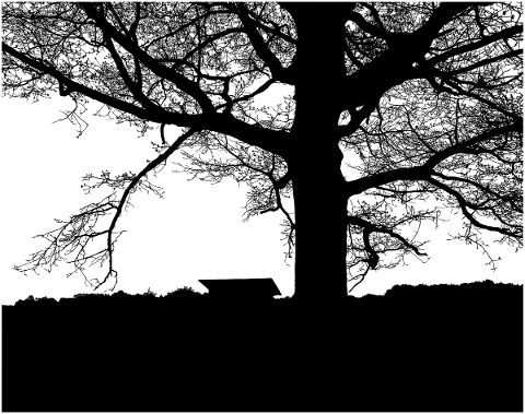 forest-trees-silhouette-branches-5184603